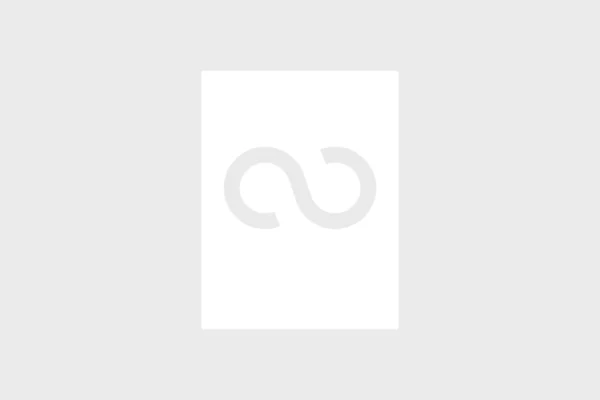 mostrar entradas dependiendo campo personalizado query block WordPress