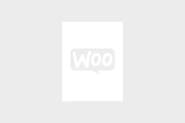 añadir gasto extra categoria producto WooCommerce